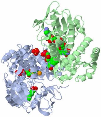 Image Biological Unit 2