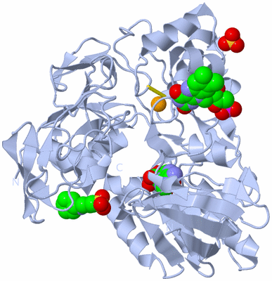 Image Biological Unit 3