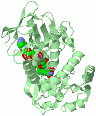Image Biological Unit 4