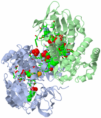 Image Asym. Unit - sites