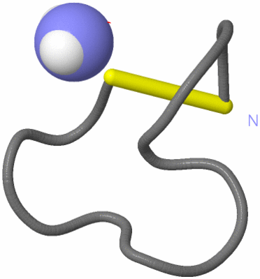 Image NMR Structure - model 1