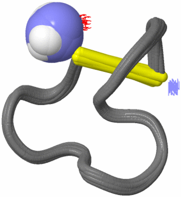 Image NMR Structure - all models