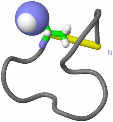 Image NMR Structure - model 1, sites