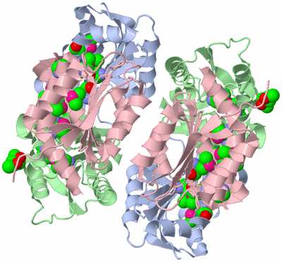 Image Biological Unit 2