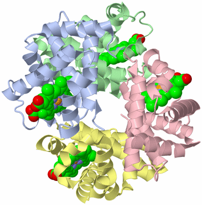 Image Asym./Biol. Unit