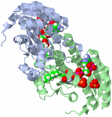 Image Biological Unit 1