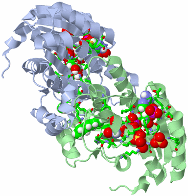 Image Biol. Unit 1 - sites