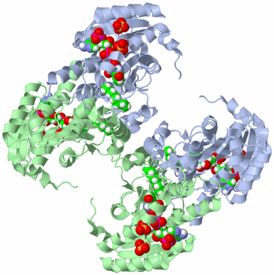 Image Biological Unit 2