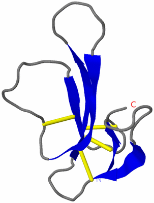 Image Theoretical Model