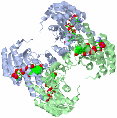 Image Biological Unit 2