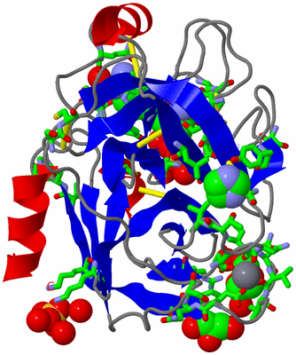 Image Asym./Biol. Unit - sites