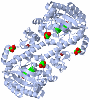 Image Biological Unit 2