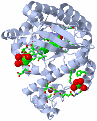 Image Biol. Unit 1 - sites