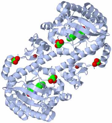 Image Biological Unit 2