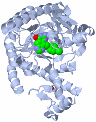 Image Biological Unit 1