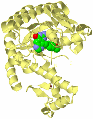 Image Biological Unit 2