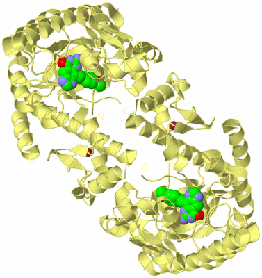 Image Biological Unit 4