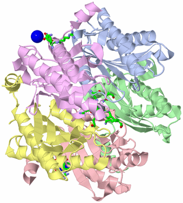 Image Biol. Unit 1 - sites