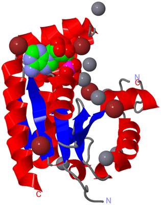 Image Asym./Biol. Unit