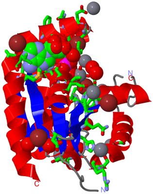 Image Asym./Biol. Unit - sites