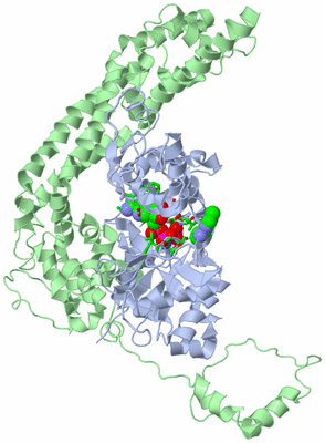 Image Asym./Biol. Unit - sites