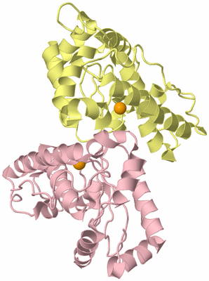 Image Biological Unit 2