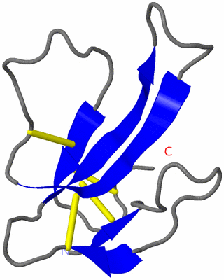 Image Theoretical Model