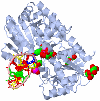 Image Biological Unit 1