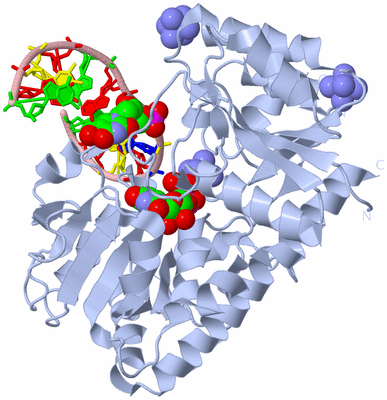 Image Biological Unit 1