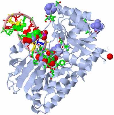 Image Biol. Unit 1 - sites