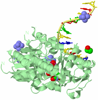 Image Biological Unit 2