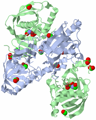 Image Biological Unit 2