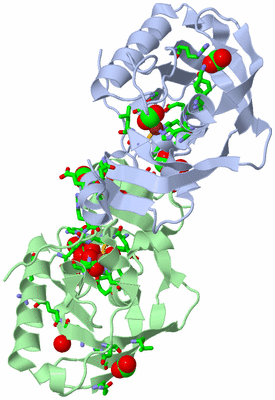 Image Asym. Unit - sites