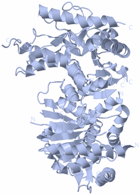 Image Biological Unit 2