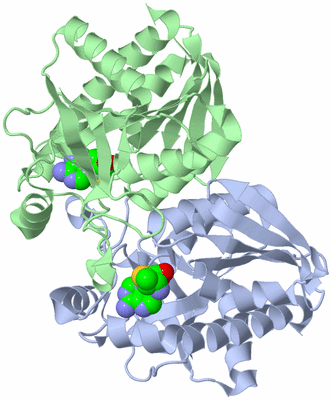 Image Asym./Biol. Unit