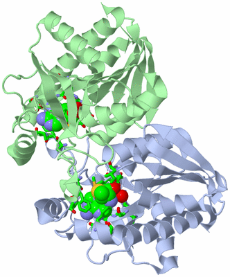 Image Asym./Biol. Unit - sites