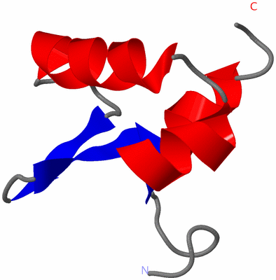 Image NMR Structure - model 1