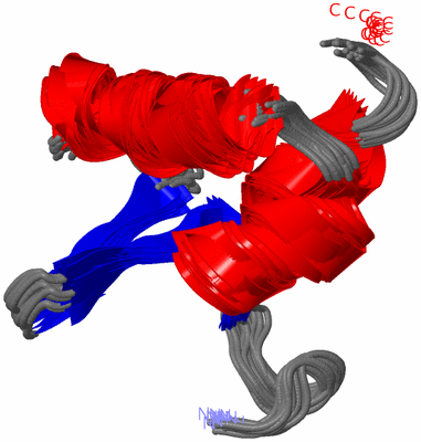 Image NMR Structure - all models