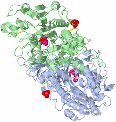 Image Asym./Biol. Unit