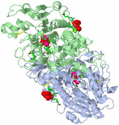 Image Asym./Biol. Unit - sites