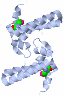 Image Biological Unit 1