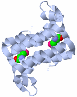 Image Biological Unit 3