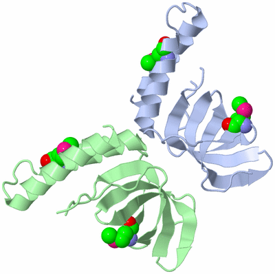 Image Asym./Biol. Unit