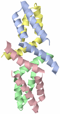 Image NMR Structure - model 1