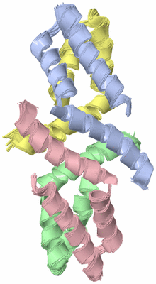 Image NMR Structure - all models