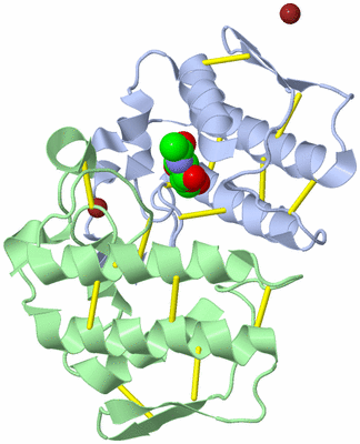 Image Biological Unit 1