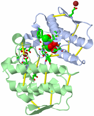 Image Biol. Unit 1 - sites