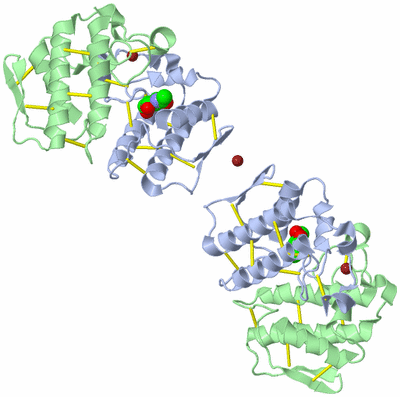 Image Biological Unit 2