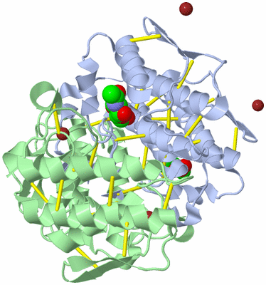 Image Biological Unit 3