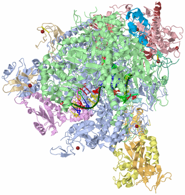 Image Asym./Biol. Unit